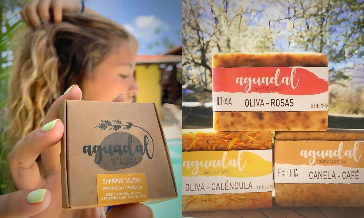 Cómo crear una empresa en Aysén: costos, trámites y asesorías locales