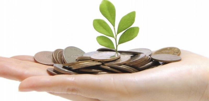 Cómo obtener créditos para emprendedores en Aysén